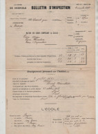 Bulletin Inspection Vasserot Abriès 1907 - Diplômes & Bulletins Scolaires