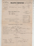Bulletin Inspection Vasserot Abriès 1909 - Diplômes & Bulletins Scolaires