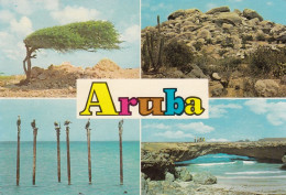 Aruba Views Old Postcard 1982 - Aruba