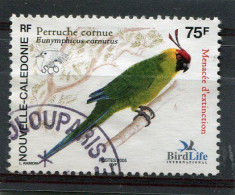 NOUVELLE CALEDONIE  N°  948  (Y&T)  (Oblitéré) - Used Stamps