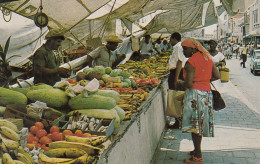 Curacao - Famous Schooner Market Old Postcard - Curaçao