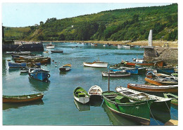 PUERTO DE PESCADORES / FISHERMEN'S HARBOUR / PORT DES PECHEURS.-  PLENCIA - VIZCAYA - ( PAIS VASCO ) - Vizcaya (Bilbao)