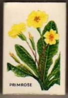 Boite D'Allumettes - ANGLETERRE / ENGLAND - FLEURS / FLOWERS - PRIMROSE / PRIMEVERE - Luciferdozen