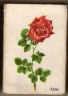 Boite D'Allumettes - ANGLETERRE / ENGLAND - FLEURS / FLOWERS - AZTEC ROSE - Luciferdozen