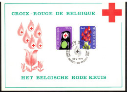 BELGIQUE  1974   Croix-Rouge De Belgique - 1971-1980