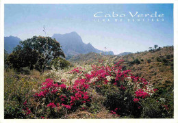 Cap Vert - Cabo Verde - Ilha De Santiago - Fleurs - CPM - Voir Scans Recto-Verso - Cap Vert