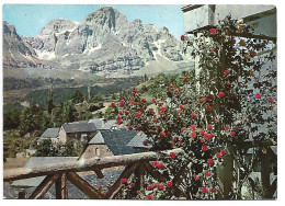 AL FONDO PEÑA TELERA / THE PEÑA TELERA INBROCKGROUND.- TRAMACASTILLA DE TENA -  HUESCA.-  ( ESPAÑA ) - Huesca