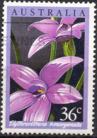 AUSTRALIA/1986/USED/SC#997/ ORCHIDS/ FLOWERS/ 36c ELYTHRANTHERA EMARGINATA - Used Stamps