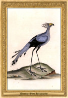 M111 Zoo - Osterley Park Menagerie, UK - William Hayes (with Family), 1794, Secretary Bird - Hertfordshire