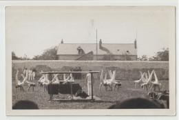 CARTE PHOTO - GYMNASTIQUE - ENTRAINEMENT GYMNASTES - CHEVAL D' ARCON - MARCHER SUR LES MAINS ( FIGURE " LE POIRIER " ) - - Gymnastik