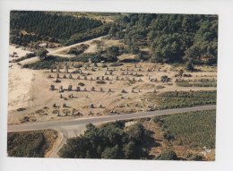 Carnac - La Partie Ouest Des Alignements De Kermario, L 1120m L 100 M 1029 Menhirs 10 Lignes (n°1771 Jos Cp Vierge) - Dolmen & Menhire