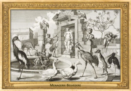 M115 Zoo - Menagerie Belvedere, AT - Salomon Kleiner, 1734 - Crane, Stork, Dog, Geese, Macaw - Belvédère