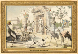 M116 Zoo - Menagerie Belvedere, AT - Salomon Kleiner, 1734 - Crane, Stork, Dog, Geese, Macaw - Belvédère