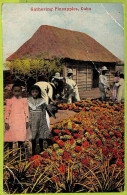 Aa6052 - CUBA- Vintage Postcard - Ethnic - America