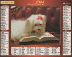 CALENDRIER ANNEE 2005, COMPLET, CHIEN LISANT UN LIVRE, MAMAN CHAT ET SON PETIT COULEUR REF 14401 - Grand Format : 2001-...