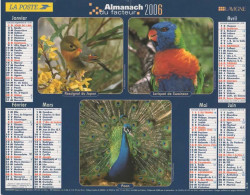 CALENDRIER ANNEE 2006, COMPLET, OISEAUX, MULTIVUE  COULEUR REF 14402 - Grand Format : 2001-...