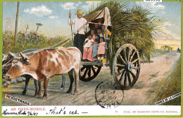 Aa5996 - CUBA - Vintage Postcard - Ethnic - 1907 - America