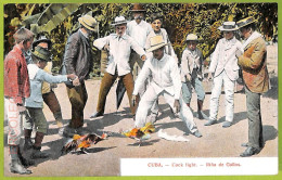 12743 - CUBA - Vintage Postcard - Cock Fight, Ethnic - América