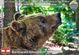 01341 WZD • ZOO - Bärenwald Arbesbach, AT - Brown Bear (Ursus Arctos) - Zwettl