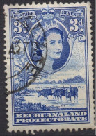 BECHUANALAND PROTECTORATE/1955-8/USED/SC#157/QUEEN ELIZABETH II / QEII / CATTLE AND BAOBAB / 3p ULTRA - 1885-1964 Bechuanaland Protettorato