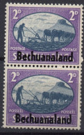BECHUANALAND PROTECTORATE/1945/MNH/SC#138/SOUTH AFRICA OVERPRINTED PAIR / VERTICAL PAIRS/ 2p VIOLET & SLATE BLUE - 1885-1964 Bechuanaland Protectorate