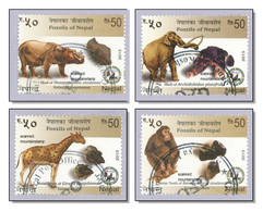 Nepal 2014 (2013) Fossils - Hexaprotodon Sivalensis - Archidiskidon Planifrons -  Ramapithecus Sivalensis - Used/gum - Nepal