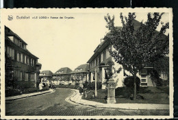 Boitsford " LE LOGIS" - Avenue Des Dryades - Obl. 1955 - Watermaal-Bosvoorde - Watermael-Boitsfort