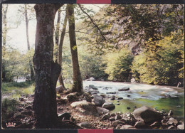 89 - Reflets Du Morvan - Les Bords Du Cousin - Bourgogne