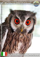 01406 WZD • ZOO - Parco Zootecnico Kamarinese, IT - White-faced Owl (Ptilopsis Leucotis) - Ragusa