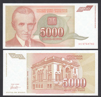 Jugoslawien - Yugoslavia 5000 Dinara 1993 Pick 128 UNC (1)    (26409 - Jugoslawien