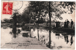 45, Jargeau, Crue De La Loire, 20 Octobre 1907, Route D'Orleans - Jargeau