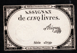 05989 / Etat SPL Assignat Signé ARIQUEY 5 CINQ LIVRES  Créé Le 10 Brumaire AN 2 Série 15739 - Assignate