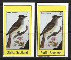 ● STAFFA Scotland 1982 ֍ ️Crested Flycatcher ● Bird ● BF ● NON Dentellato ● £ 1 ● Lotto N.XX ● - Escocia