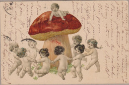 Champignon Pilze Mushroom Boletus Edulis Babies Kids Fauna Old PC. Cpa. 1904 - Mushrooms