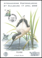 CS/HK° A5 - Avocette/Kluut/Säbelschnäbler- BSL-BXL  17-04-2006 - BUZIN - Cercle D'Ottoncourt/Attenhovense Postzegelkring - Storks & Long-legged Wading Birds