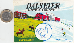 ETIQUETA - STICKER - LUGGAGE LABEL  NORWAY - NORGE - HOTEL DALSETER - ESPEDALEN - Etiquettes D'hotels