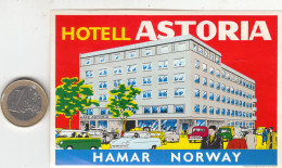 ETIQUETA - STICKER - LUGGAGE LABEL  NORWAY - NORGE - HOTEL  ASTORIA - HAMAR - Etiquettes D'hotels