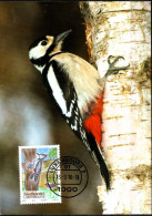 Luxembourg ,Luxemburg ,2006, MI 2100,  YT 2044 , BIODIVERSITE  SPECHT, CARTE POSTALE, SONDERSTEMPEL - Cartas & Documentos