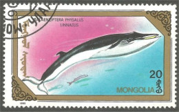 XW01-1556 Mongolia Baleine Whale Wal Ballena - Whales