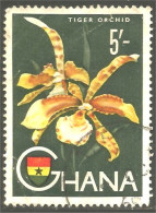 XW01-1279 Ghana Orchidée Tiger Orchid Orkid Orchidea Orquidea - Ghana (1957-...)