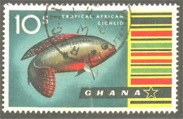 XW01-1240 Ghana Cichlid Poisson Fish Fisch Pescado Peixe Vis Alimentation Food - Ghana (1957-...)