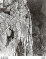 3V2Bv   Photo Alpinisme Alpiniste En Ascension Sur Paroi Rocheuse - Alpinisme