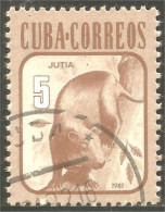 XW01-1963 Cuba Jutia Hutia Hutie Animal Rat Rodent Rongeur Nagetier - Roedores