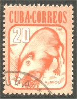 XW01-1958 Cuba Almiqui Solénodon Solenodon Animal - Otros & Sin Clasificación