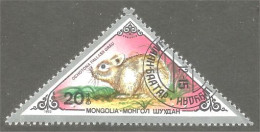 XW01-1775 Mongilie Triangle Lapin Lièvre Rabbit Hare Hase Kaninchen Coelho Conejo Coniglio Konijn - Lapins