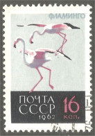 XW01-1731 Russia Flamant Rose Flamingo Flamenco Fenicottero - Flamingo's