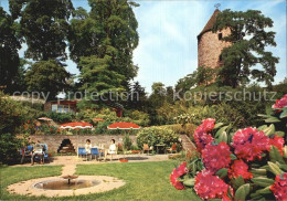 72504957 Weinheim Bergstrasse Ruhe Lesegarten Schlosspark Weinheim - Weinheim