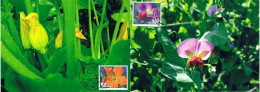 Suisse - Légumes En Fleurs CM 2120/2123 (année 2011) - Cartoline Maximum