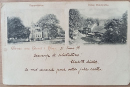 Gruss Aus Elend I. Harz, Hotel Waldmühle, Dependance, 1899 - Andere & Zonder Classificatie