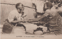IS - ZAMBIE - ZAMBEZE - LOT DE 2 CARTES - Salutation Indigène Et Barque Sur Le Zambeze - Sambia